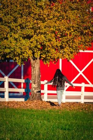 Fall Pictures